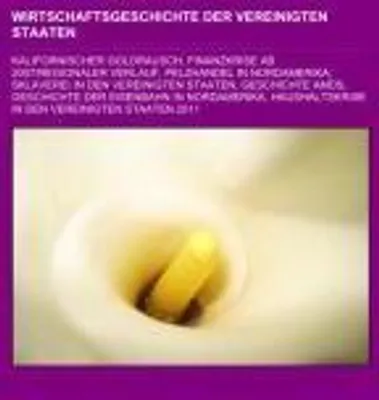 Produktbild von Wirtschaftsgeschichte der Vereinigten Staaten
