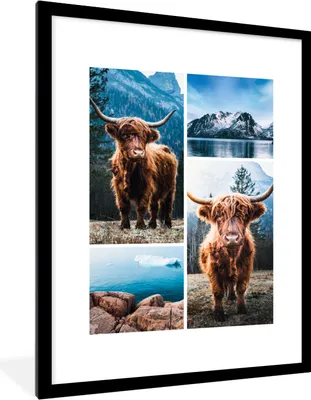 Produktbild von MuchoWow® Gerahmtes Poster Schottischer Highlander - Tiere - Collage 60x80 cm - Poster mit Schwarzem Bilderrahmen Wandposter Rahmen Foto Bilder - Wohnzimmer - Dekorationen - Prämie