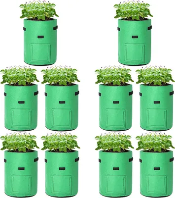 Immagine prodotto di Jiubiaz Sacchi per piante Sacca per piante Sacchetto per piante Tessuto non tessuto Cesto per piante - 10 pezzi 38 L (10 galloni)