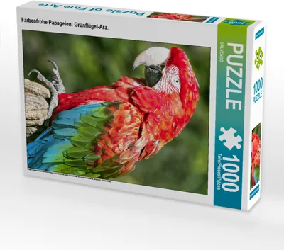 Produktbild von CALVENDO Puzzle Farbenfrohe Papageien: Grünflügel-Ara. | 1000 Teile Lege-Größe 64x48cm Foto-Puzzle für glückliche Stunden