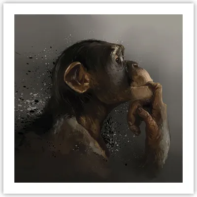 Produktbild von Poster - Poster ohne Rahmen - Schimpanse Porträt Grafik - 60x60 cm - Wand Bild - Wanddeko - Wandbilder - Kunstposter - Wandposter - Bilder - Kunstdruck - Wanddekoration - Wandbild - P2XAC60x60-4676