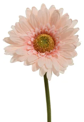 Produktbild von Decoris Künstliche Blume Gerbera H50CM Pink