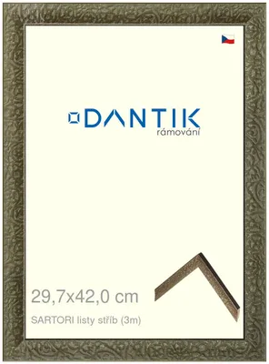 Obrázek produktu pro DANTIK rámeček 29,7x42 | SARTORI listy stříb (Plexi Čiré)