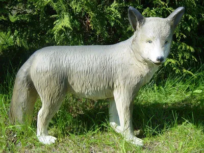 Productafbeelding van Ontwerp: Wolf, tuinbeeld, sculptuur, figuur, decoratie, decoratieartikel, C484