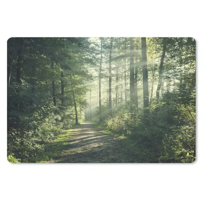 Produktbild von MuchoWow® Schreibtischunterlage Wald - Licht - Weg 60x40 cm - XXL Mauspad - Großes Mauspad