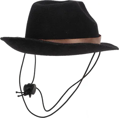 Immagine prodotto di Cappello da cowboy per animali domestici, simpatico e divertente per gatti, cani, feste, festival, abbigliamento quotidiano, nero