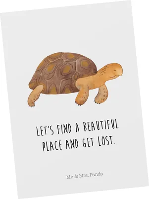 Produktbild von Mr. & Mrs. Panda Postkarte Schildkröte Marschieren - Weiß - Geschenk, Schildkröten, Ansichtskarten, Motivation, Abenteuer, Grußkarte, Meer, Fotokarte, Ansichtskarte