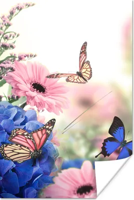 Produktbild von MuchoWow® Poster Schmetterlinge - Blumen - Hortensie - Insekten 20x30 cm - Papierdruck