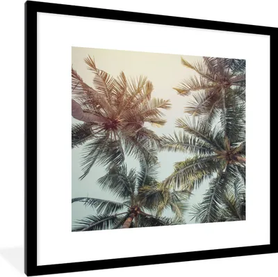 Produktbild von MuchoWow® Gerahmtes Poster Palme - Sommer - Tropisch 40x40 cm - Poster mit Schwarzem Bilderrahmen Wandposter Rahmen Foto Bilder - Poster - Plakat im Rahmen