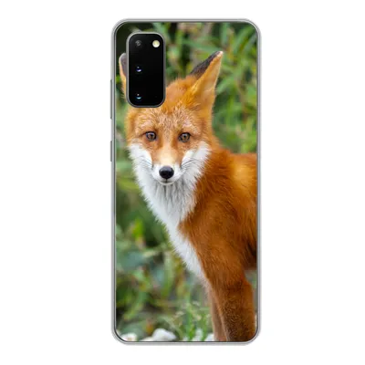 Produktbild von MuchoWow® Handyhülle Schutzhülle Hülle für Samsung Galaxy S20 Fuchs - Orange - Wald Silikon Softcase Handy Hülle - Bild