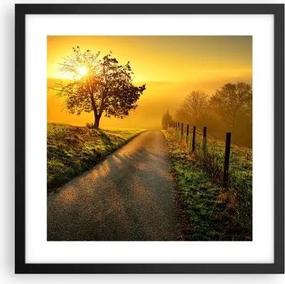 Produktbild von Gerahmtes Poster - Schwarzer Rahmen - Feld Straße Baum - 40x40 cm - Wand Bild - Wanddeko - Wandbilder - Kunstposter - Wandposter - Bilderrahmen - Bilder - Kunstdruck - Wandbild - P2BAC40x40-3851