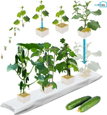 Produktbild von 30x Stecklingsstopfen + 20x Zuchtwürfel Gurke 10x10x6,5cm + 5x Matte Hydroponik
