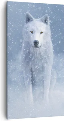 Produktbild von Bild auf Leinwand - Leinwandbild - Einteilig - Weiß Wolf Schnee - 55x100cm - Wand Bild - Wanddeko - Wandbilder - Leinwanddruck - Bilder - Wanddekoration - Leinwand bilder - Wandbild - PA55x100-5006