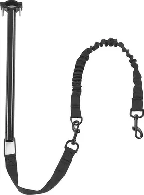 Image de Laisse pour chien pour le vélo et le jogging, de haute qualité, mains libres
