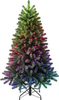 Zdjęcie produktu dla Twinkly Pre-lit Tree -1.50m Regal Tree, 270 RGB LED, Green wire, Plug Type C