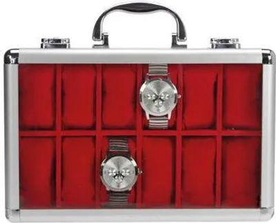 Image de Mallette pour montres SAFE 265