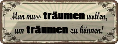 Produktbild von vianmo Blechschild 10x27 cm Muss träumen wollen um zu können Spruch Zitat