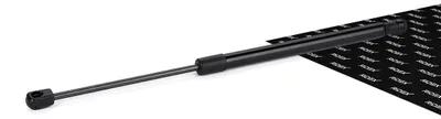 Produktbild von RIDEX 219G0975 Gasfeder Heckklappendämpfer für HYUNDAI i10 (PA) 460,5mm