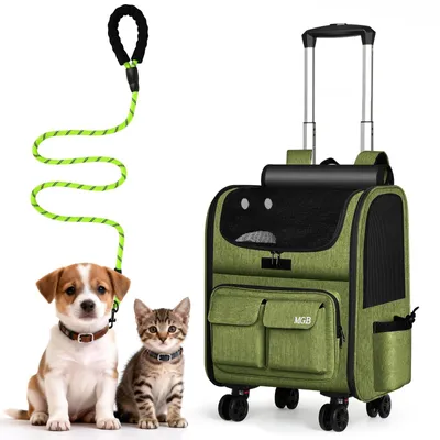 Image de Caisse à roulettes pour chats et petits chiens