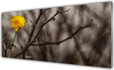 Produktbild von Acrylglasbilder 125x50 Wandbild Druck Zweig Blume Pflanzen
