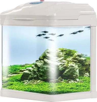 Image de SUNSUN Pika-Pika AquaKids - aquarium 3l blanc SunSun