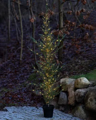 Produktbild von SIRIUS LED-Lichterbaum im Zedernholztopf, 190 cm