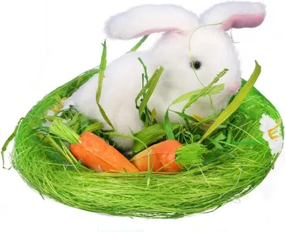 Produktbild von Osterdekoration: Hase mit Karotten, 9 cm, rosa