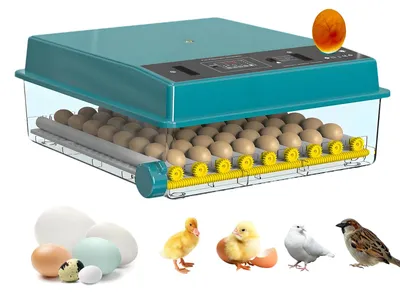 Produktbild von Automatischer Eierbrüter - Brutmaschine für 64 Hühnereier - Automatische Eierwendung - Temperatur- und Feuchtigkeitskontrolle - Einzelstromversorgung