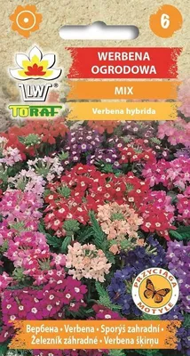 Obrázok produktu pre Záhradná verbena MIX Kvetinové semená - 677 Toraf