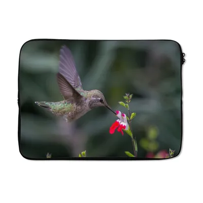 Produktbild von MuchoWow® Laptop Hülle 14 ZollKolibri - Blume - Rot Laptoptasche - Laptoptasche - Stoßsicher - Schutzhaube