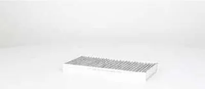 Produktbild von BSG BSG 75-145-009 Innenraumfilter Pollenfilter für RENAULT LAGUNA III Grandtour (KT0/1) Aktivkohle