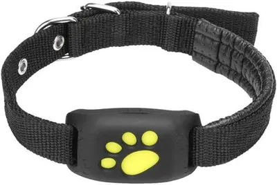 Produktbild von GPS-Halsband für Hunde und Katzen, Wasserabweisend, Smart GPS/GSM-Tracker für Hunde und Katzen in Echtzeit