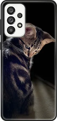 Produktbild von König Design Hülle kompatibel mit Samsung Galaxy A73 5G Kunststoff Soft Handyhülle - Handy Case Junge Katze