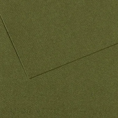 Zdjęcie produktu dla Canson Mi-Teintes 50x65 cm Vert Ocean 448 160 g Papier kolorowy