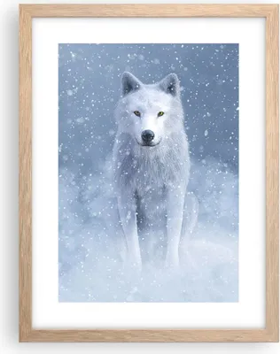 Produktbild von Gerahmtes Poster - Rahmen in heller Eiche - Weiß Wolf Schnee - 30x40 cm - Wand Bild - Wanddeko - Wandbilder - Kunstposter - Wandposter - Bilderrahmen - Bilder - Kunstdruck - P2NPA30x40-5006