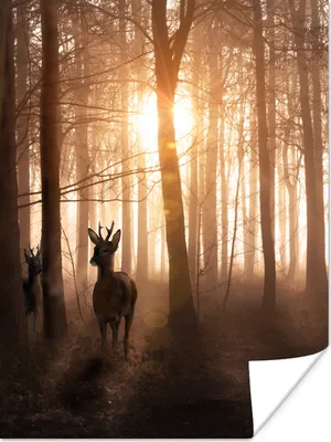Produktbild von MuchoWow® Poster Wald - Hirsche - Sonne - Bäume - Winter - Natur - Tiere 120x160 cm - Wandbilder