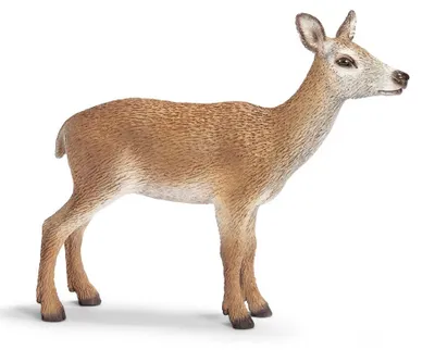 Produktbild von Schleich Rothirschkuh Wild Life, Braun, Beide Geschlechter, 9 cm, 2,5 cm, 8 cm, 1 Stück