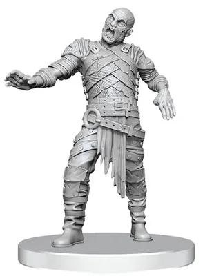 Obrázok produktu pre Miniatúry D&D Nolzur's Swarm of Rot Grubs - WizKids