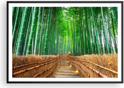 Produktbild von Gerahmtes Poster - Schwarzer Rahmen - Bambus Pflanze - 100x70 cm - Wand Bild - Wanddeko - Wandbilder - Kunstposter - Wandposter - Bilderrahmen - Bilder - Kunstdruck - Wandbild - P2BAA100x70-3979