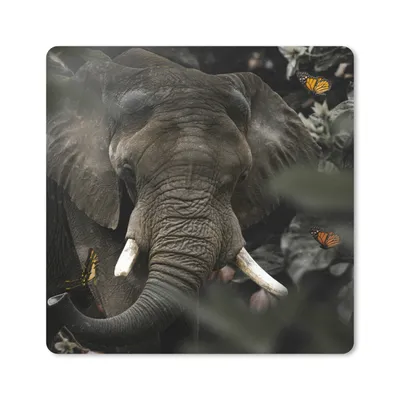 Produktbild von MuchoWow® Mauspad Mousepad Tiere - Elefant - Schmetterlinge 20x20 cm - Mousepads - Maus Mat - Pad - Mausunterlage - Desk Mat - Bureauartikeln