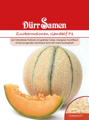 Produktbild von Dürr-Samen - Zuckermelone Gandalf F1 - Saatgut - 0144