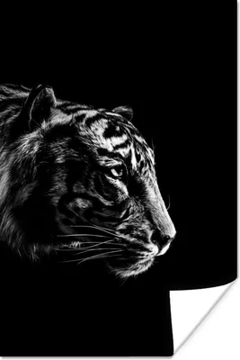 Produktbild von MuchoWow® Poster Kopf eines Tigers auf einem schwarzen Hintergrund - schwarz und weiß 40x60 cm - Plakate für die Wand - Poster Babyzimmer