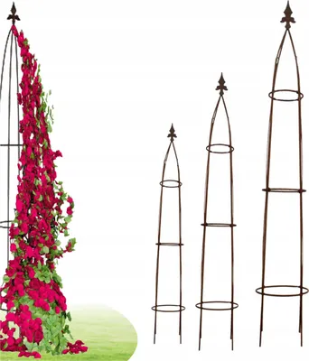 A metal garden obelisk covered in red flowers and green leaves, with three other obelisks of varying sizes to the right.