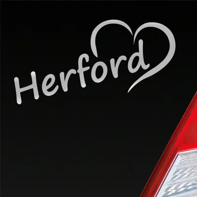 Produktbild von Auto Aufkleber Herford Herz Stadt City Liebe Love Heimat 18x8 cm Silber Sticker Heckscheibenaufkleber