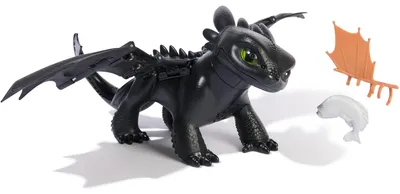Zdjęcie produktu dla DreamWorks Dragons DWD INA TameNTrainInterToothless GML, 4 lat(a), Czarny