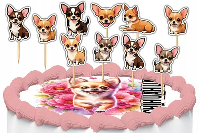Zdjęcie produktu dla TOPPERY NA TORT OZDOBNE DEKORACJA ZESTAW - PIES PSY RASA Chihuahua 10szt.