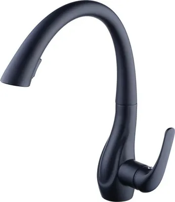Immagine prodotto di Rubinetto da cucina con doccia Uittrekbare - Design moderno - Nero