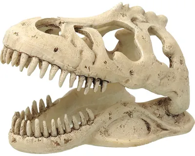 Produktbild von Repti Planet 007-56012, Höhle, 1 Stück(e), 133 mm, 85 mm, 90 mm
