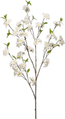 Produktbild von artplants.de Deko Zweig Zierkirsche VERIANO mit Blüten, weiß, 120cm - Kunst Kirschzweig