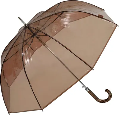 Produktbild von Regenschirm Glockenschirm Transparent Durchsichtig Cappuccino